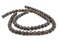 The Bead Chest Matte Round Bronzite Beads (10mm): Organic Gemstone Round Spherical Energy Stone Healing Power Crystal for Jewelry Bracelet Mala Necklace Making
